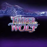 timber wolf