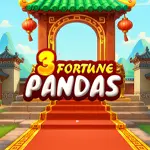 3 fortune pandas