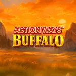 action ways buffalo