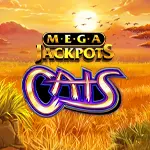megajackpots cats
