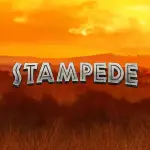 Stampede
