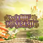 White Rabbit Megaways