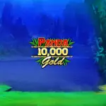 panda gold 10000