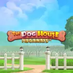 the dog house megaways