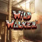 wild walker