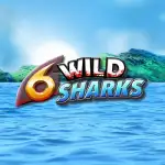6 Wild Sharks