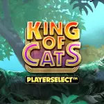 King of Cats