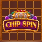 Chip Spin