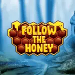 Follow the Honey