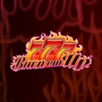 777 Burn Em Up