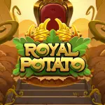 Royal Potato