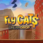 Fly Cats Dream Drop