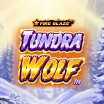 Tundra Wolf Fire Blaze Golden