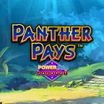 panther pays powerplay jackpot