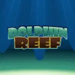 dolphin reef