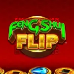 feng shui flip