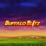 buffalo blitz