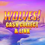 wolves cash collect and link