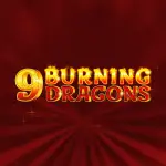 9 burning dragons