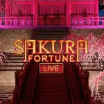 sakura fortune live