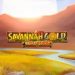 savannah gold coin of the wild