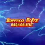 buffalo blitz cash collect