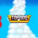 3 top dogs